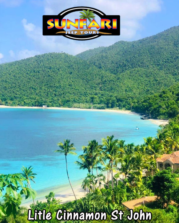 Sunfari Adventures Virgin Islands| Famly Fun Affordable 